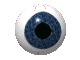 Big brother is watching you