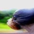 Movement Blur