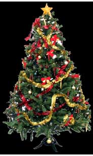 Kerstboom