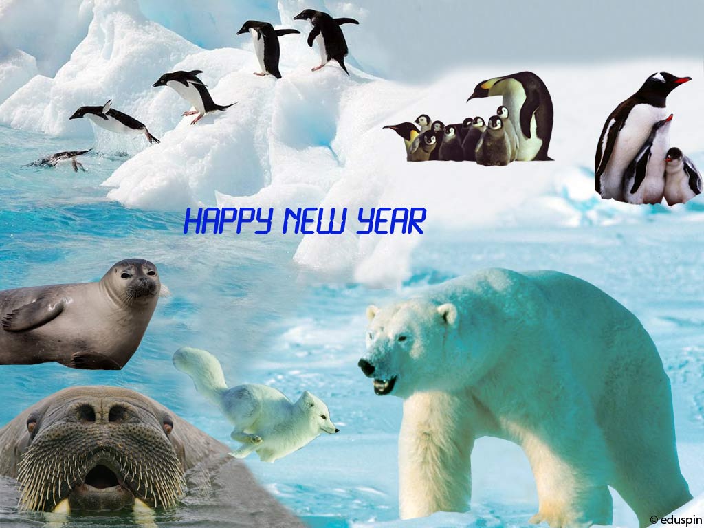 Happy New Year - Gelukkig Nieuw Jaar